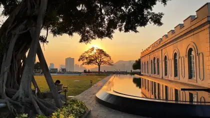 The sun setting behind a large tree next to a stone building with a reflecting pool